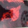 Thor ragnorok 3d steelbook Image 2