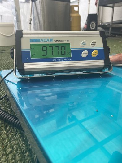 Adam cpw plus 150weighing scale