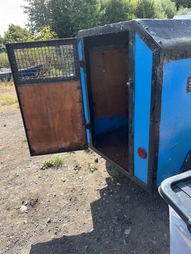 dog trailer