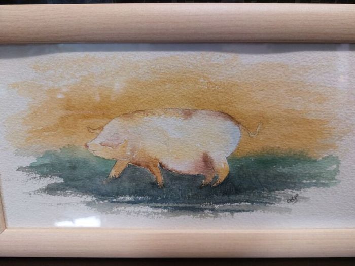 Original Watercolour - Pig