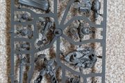 Captain with relic shield Warhammer 40k