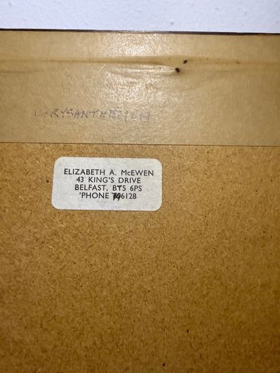 Original watercolour by Elizabeth A. McEwen RUA (1937- 2020), Belfast botanical artist.