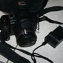 Panasonic Lumix FZ45 14.1MP Image 3