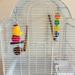 Bird cage
