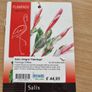 Salix Integra Flamingo small tree Image 4