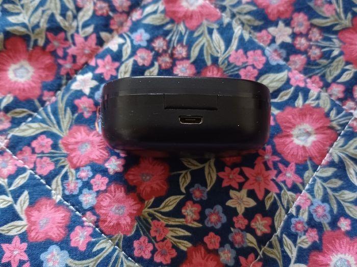 Earphone case