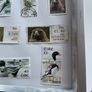 Framed Birds  of Ireland Stamp Collection Image 4
