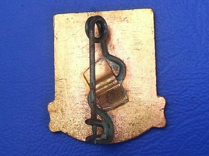 USAAF Technical Training Command (Sustineo Alas) air technician trainer's badge (WW2 period 1940s)