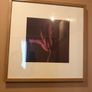 2 framed Floral Prints Image 4