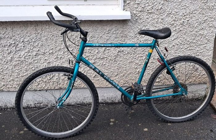 Adult bike 100cm