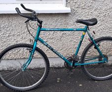 Adult bike 100cm
