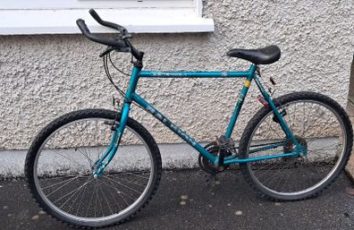 Adult bike 100cm