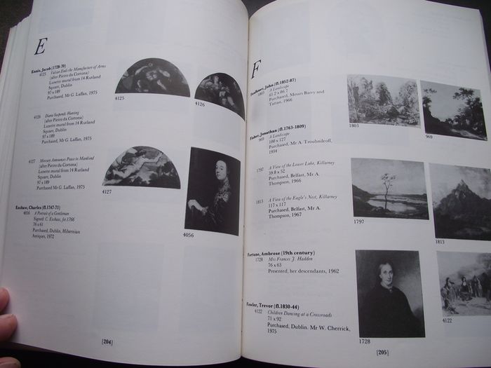 1982 "National Gallery of Ireland: Illustrated Summary Catalogue of Paintings" by Homan Potterton
