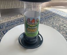 Bird feeder