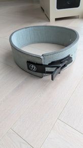 P/Lifting belt