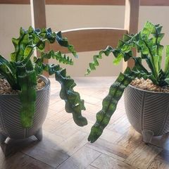 Artificial Plants in Ceramic Plant Pots with Decorative Stones x2