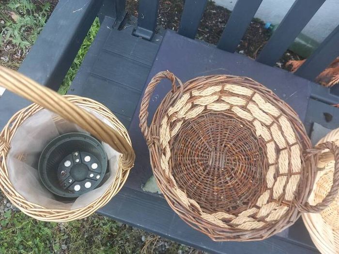 Bundle of 4 Wicker Baskets