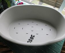 Rigid Dog Bed