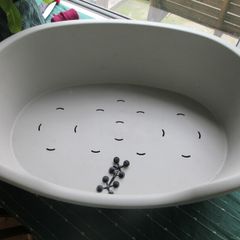 Rigid Dog Bed