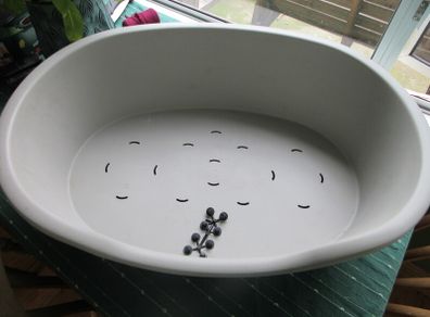 Rigid Dog Bed