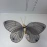 Butterfly wings Image 3