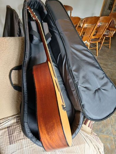Eastman E1D