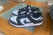 Panda does dunks