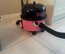 Pink Henry 200