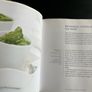 Recipe book babies Image 3