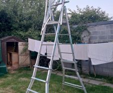 Stradbally 5/8 step podium ladder