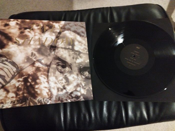 Twin Shadow Forget lp