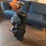Golf Clubs x5 Image 2