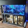 fish tanks accessories coral Image 2
