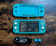 Nintendo Switch Lite Hardmodded Picofly HEKATE Mint Condition
