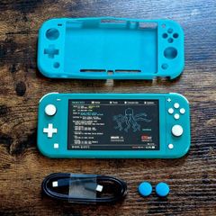 Nintendo Switch Lite Hardmodded Picofly HEKATE Mint Condition