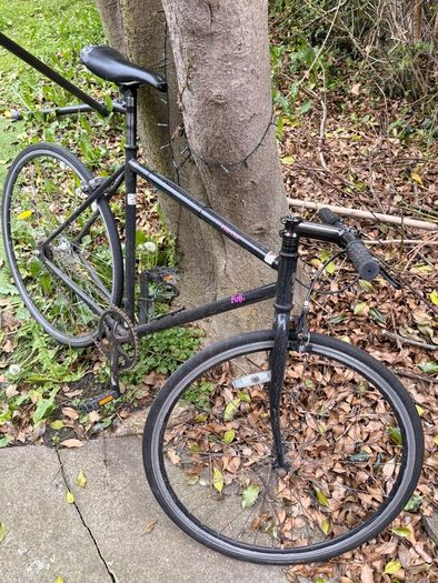 Fuji Fixie