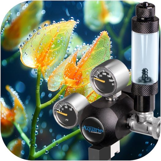 Aquario Professional 2.0 - CO2 set with solenoid valve + 5l bottle
