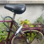 Rayleigh bike Image 4