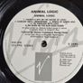 Animal Logic - Animal Logic Vinyl LP (1989) Original UK PROMO Pressing Alternative Rock Stanley Clarke Stewart Copeland EX+ Image 4