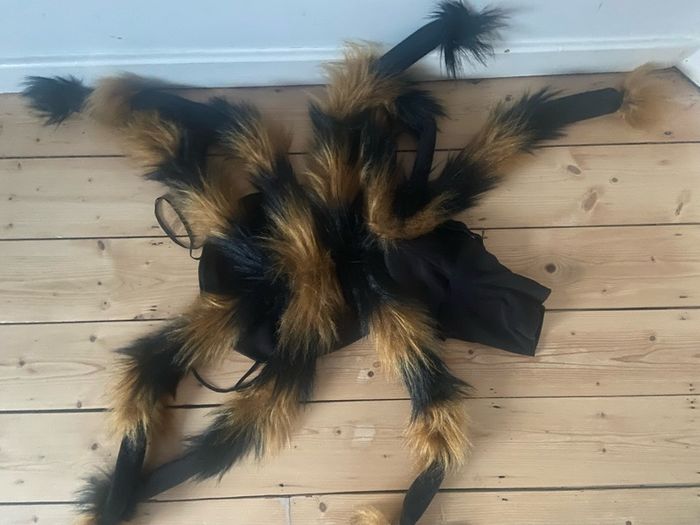 XL dogs - spider costume