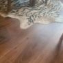 rug Image 2