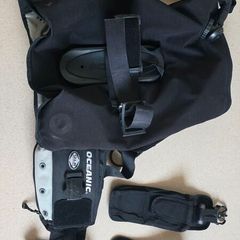 BCD Oceanic Excursion