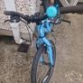 Girls/Boys Ridgeback bike. Image 2