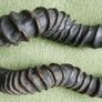 Antique Black Buck Horns 1800's Rare Horns Length 22" Image 3