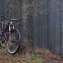 s-works stumpjumper Image 5