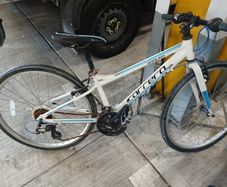 carrerra bike