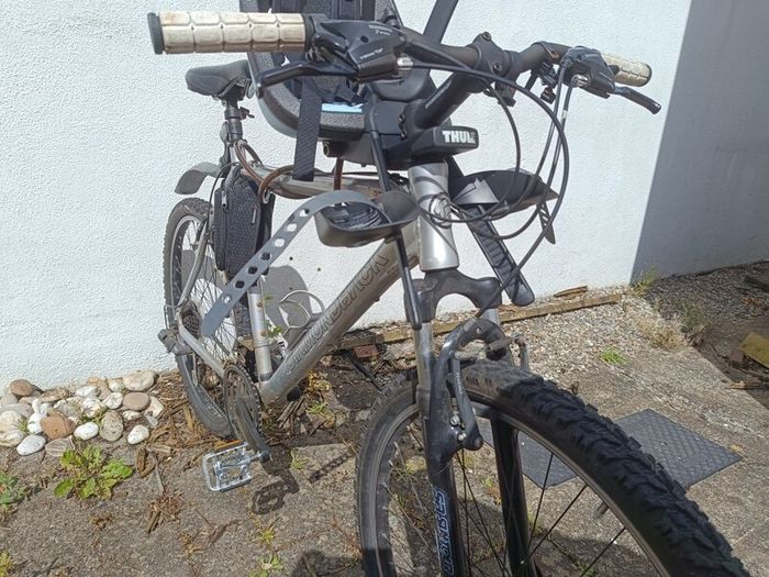 silverback hardtail mountainbike