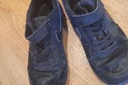 shoe