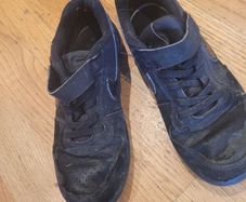 shoe
