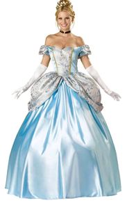 Classic Cinderella Costume